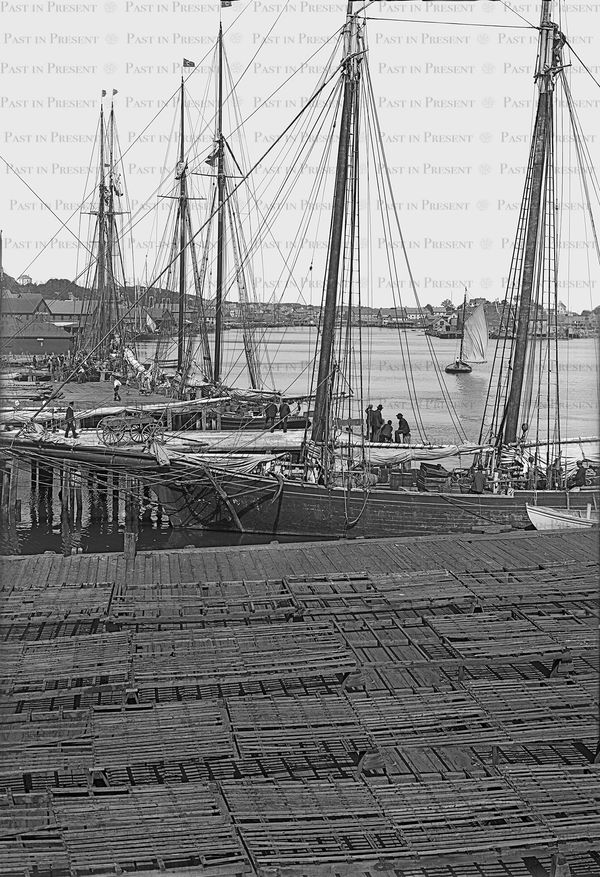 “Legends of Gloucester Harbor: Cod Fishing Schooners and Maritime Life,, c.1900's