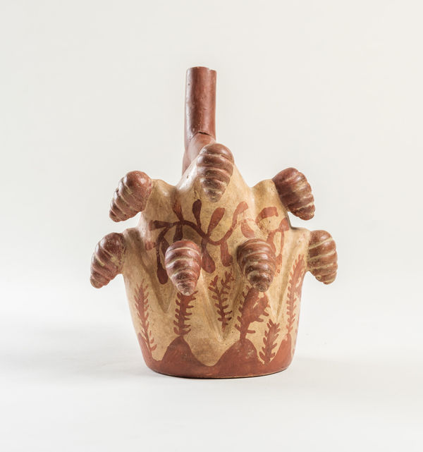 Moche Culture, Stirrup with molusque and San Pedro cactus, circa 400 - 600 AD