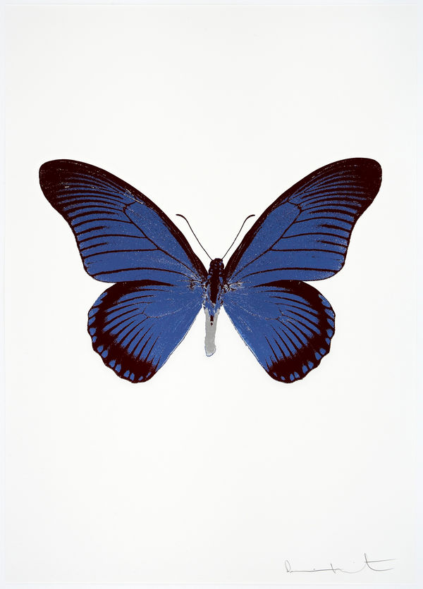 Damien Hirst, The Souls IV - Frost Blue/Burgundy/Silver Gloss Damien Hirst butterfly foil print for sale Damien Hirst print for sale , 2010