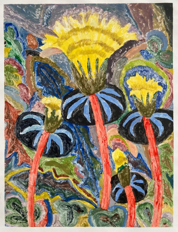 Lauren Bryden, Lion's Daisy, 2023