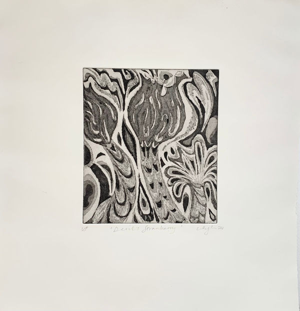 Lauren Bryden, Devil's Strawberry, 2024