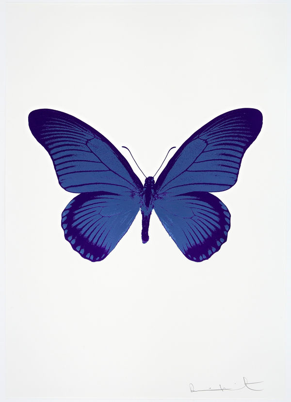 Damien Hirst, The Souls IV - Frost Blue/Imperial Purple/Imperial Purple Damien Hirst butterfly foil print for sale Damien Hirst print for sale , 2010