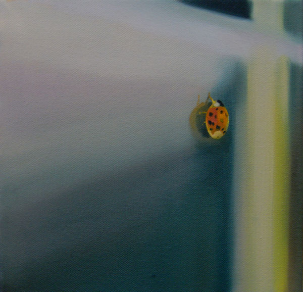 Grace O’Connor, Don’t, 2016