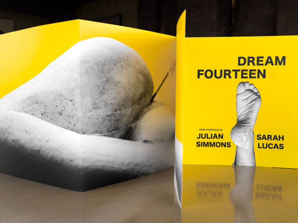 Julian Simmons and Sarah Lucas, Dream Fourteen, 2020