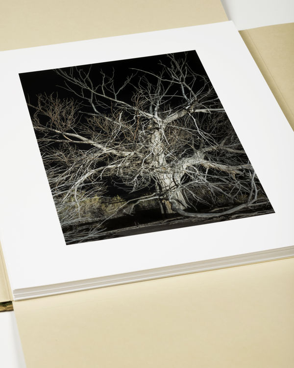 Topaz War Relocation Center, 2025