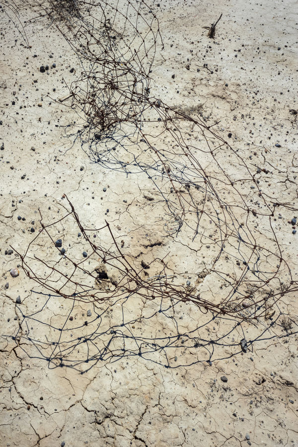 Topaz War Relocation Center (Warehouse), 2025