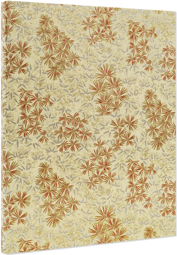 Where Wonders Surround You, 2024