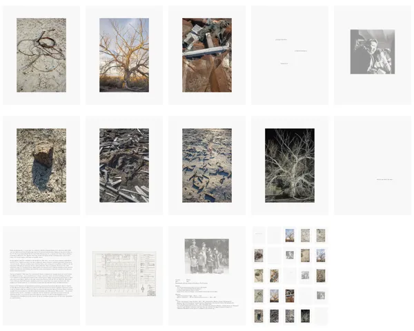 Epiphanies in Ancient Sands - Expanded Edition Broadsides 16 - 29, 2026