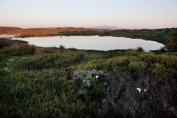 Paul Weinberg, Camissa, a Khoi name meaning sweet waters, has spiritual connotations. The city of Cape Town has a unique underground system of rivers and aquifers throughout the city, near Khayelitsha, Cape Town, Western Cape, 2019-21