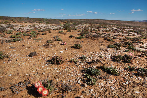 Paul Weinberg, Ratelgat is the spiritual home of the Griqua, a group of Khoi people. It was founded by Paramount Chief Andrew le Fleur and is now a heritage site, Vredendal district, Northern Cape, 2019-21
