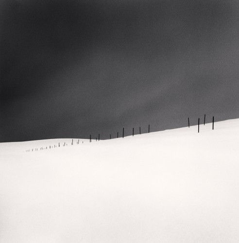 Michael Kenna, Asparagus Sticks, Study 2, Hokkaido, Japan., 2007