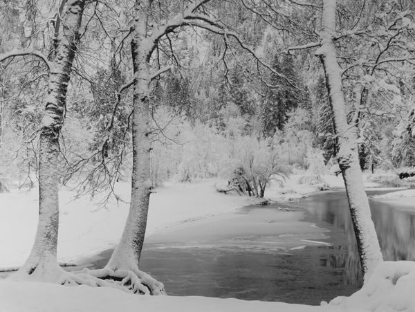 Ray McSavaney, Merced River, Yosemite, 1990