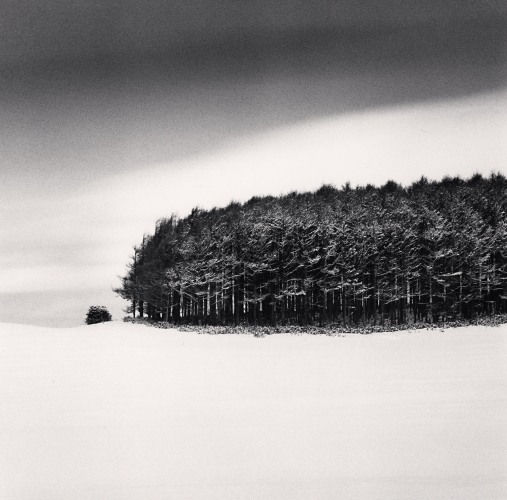 Michael Kenna White Copse, Study 4, Wakkanai, Hokkaido, Japan., 2020 Gelatin silver print Image: 8" x 8", Matted: 20" x 16" Edition of 25