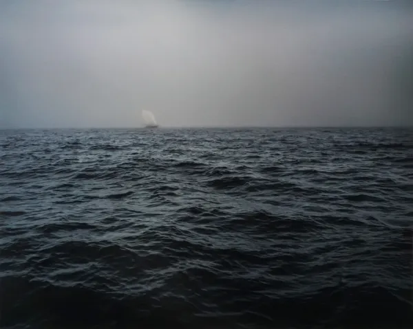 Cig Harvey, Ghost Ship, Atlantic Ocean, 2025