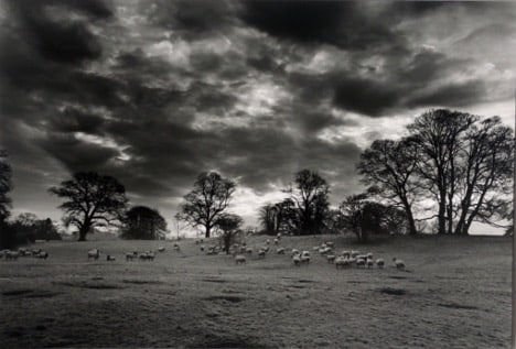 Don McCullin, Dawn at the Edge of my Village, Somerset