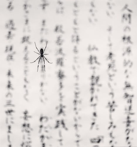 Michael Kenna, Spider and Sacred Text, Study 2, Gokurakuji, Shikoku, Japan., 2001