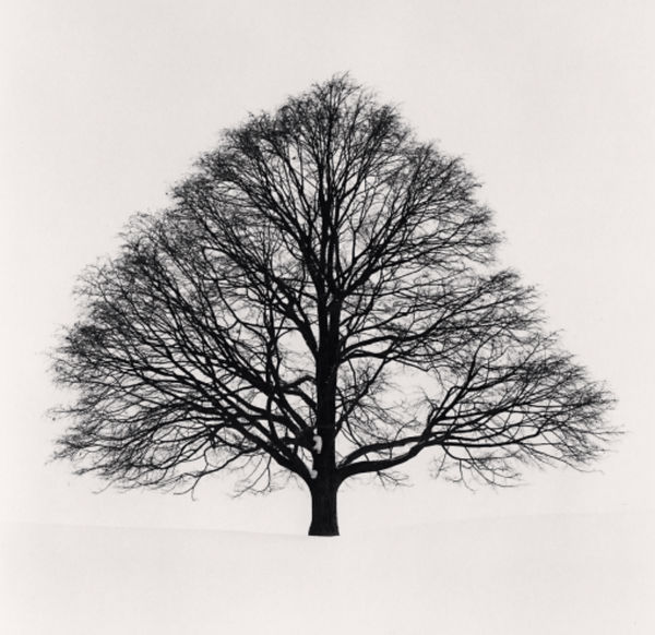 Michael Kenna, Cikisani Kamuy, Study 1, Sorachi, Hokkaido, Japan, 2023