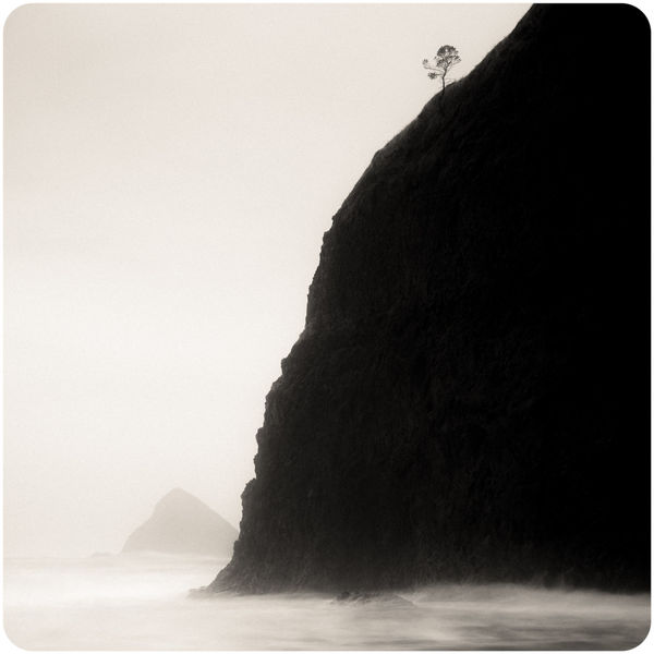 Jeffrey Conley, Lone Tree and Headland, Oregon, 2016 / printed 2025