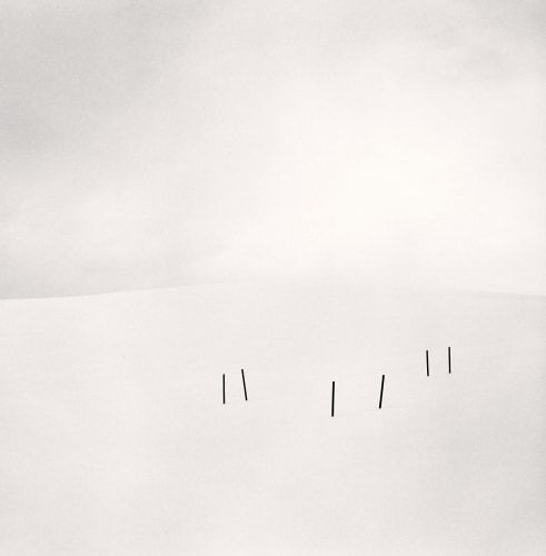 Michael Kenna, Asparagus Sticks, Study 3, Hokkaido, Japan., 2007