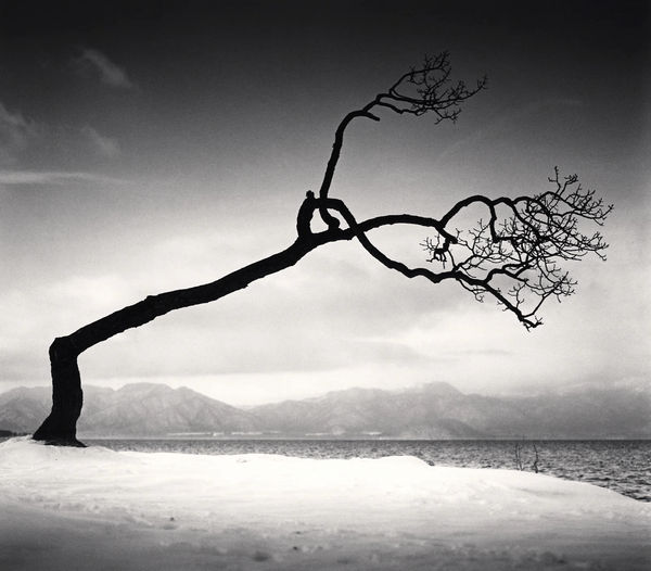 Michael Kenna, Kussharo Lake Tree, Study 16, Kotan, Hokkaido, 2009