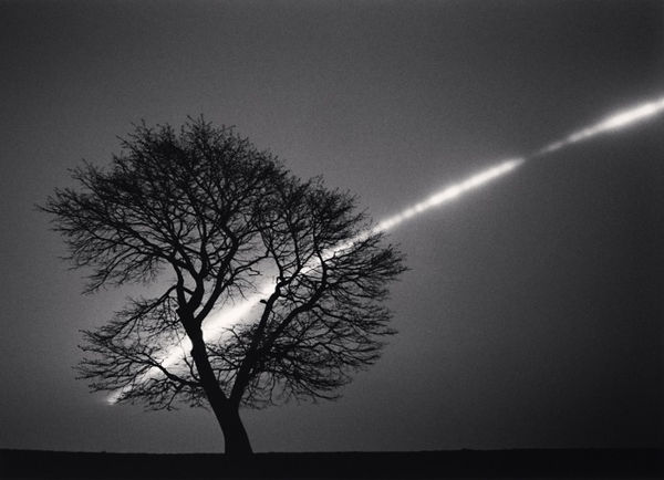 Michael Kenna, Sakura and Full Moon, Study 1, Urakawa, Hokkaido, Japan., 2015