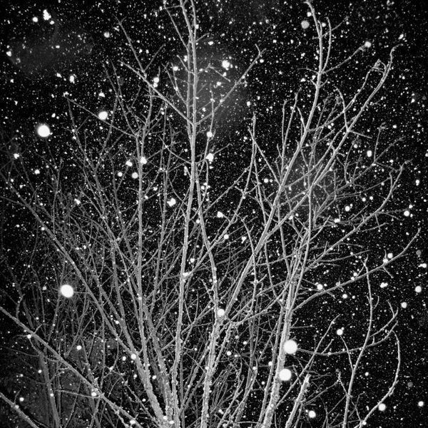 Jeffrey Conley, Night Snow, 2009/ Printed 2009