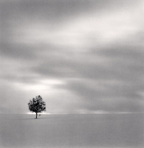 Michael Kenna Twilight Tree, Higashi Kagura, Hokkaido, Japan., 2008 Gelatin Silver Print 16" x 20" Edition of 4