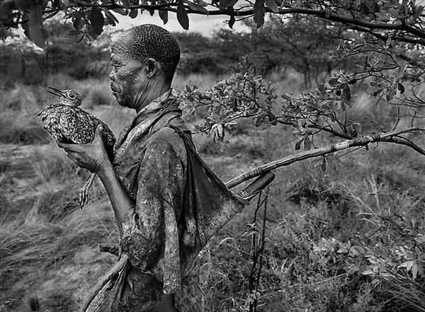 Sebastião Salgado, Bushmen Botswana [holding bird], Africa, 2008
