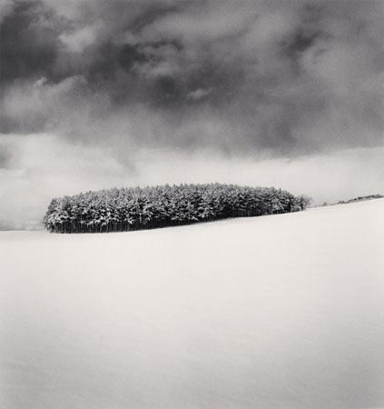 Michael Kenna White Copse, Study 2, Wakkanai, Hokkaido, 2004 Gelatin Silver Print 8 x 7.75 inches Edition 30 of 45