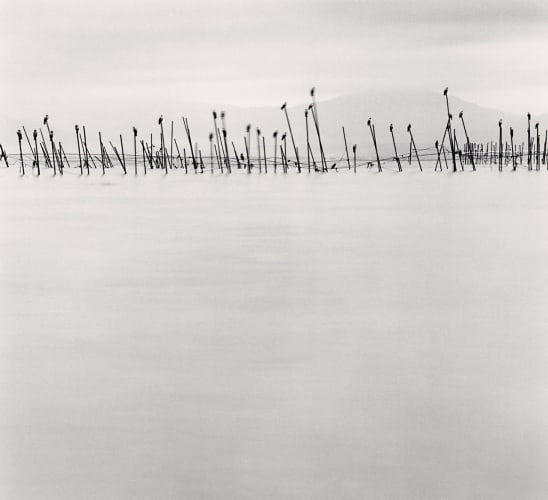 Michael Kenna, Birds on Poles, Biwa Lake, Honshu, Japan,, 2001