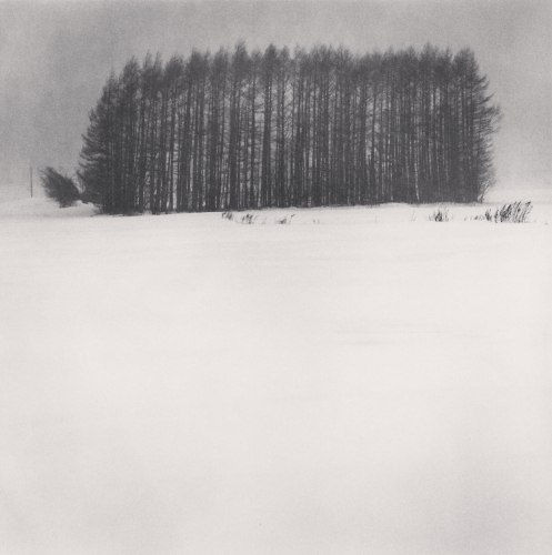 Michael Kenna Trees in Snowstorm, Wakoto, Hokkaido, Japan., 2003 Gelatin Silver Print Image 8 x 8, Matted 20" x 16" Edition of 45