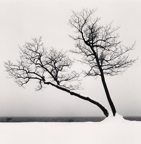 Michael Kenna Two Leaning Trees, Study 3, Kussharo Lake, Hokkaido, Japan., 2020 Gelatin Silver Print Image 8 x 8, Matted 20" x 16" Edition of 25