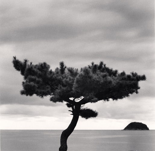 Michael Kenna, Pine Tree and Nago Island, Tsuda, Shikoku, Japan., 2022