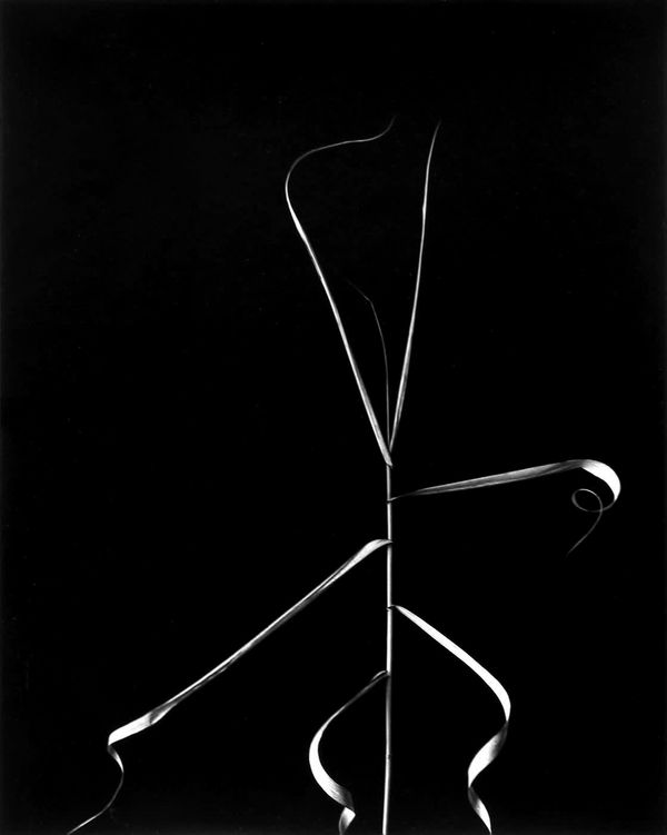 Harry Callahan, Aix-en-Provence, 1958 (Printed Later)