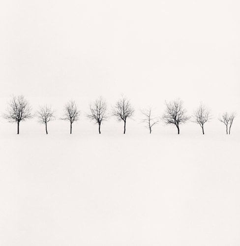 Michael Kenna, Nine Trees, Higashikawa, Hokkaido, Japan., 2004