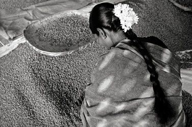 Sebastião Salgado, India [woman with flowers in her hair], 2003/Printed 2007