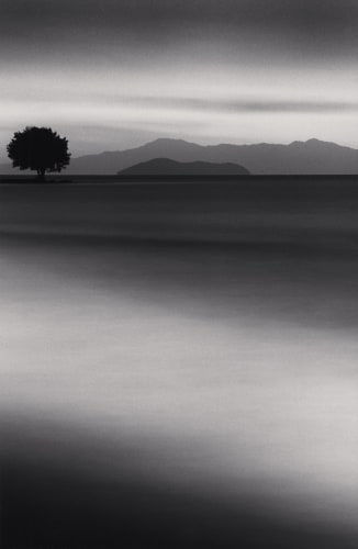 Michael Kenna, Biwa Lake Tree, Study 1, Omi, Honshu, Japan., 2001