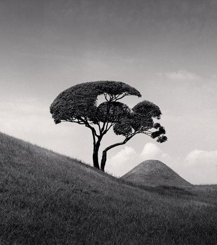 Michael Kenna, Tree and Mountain, Kumamoto, Kyushu, Japan., 2002