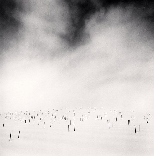 Michael Kenna, Asparagus Sticks, Study 1, Hokkaido, Japan. , 2007