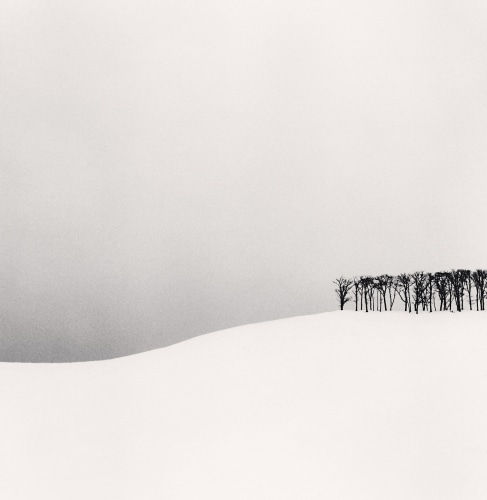 Michael Kenna, Hilltop Trees, Study 1, Teshikaga, Hokkaido, Japan., 2003