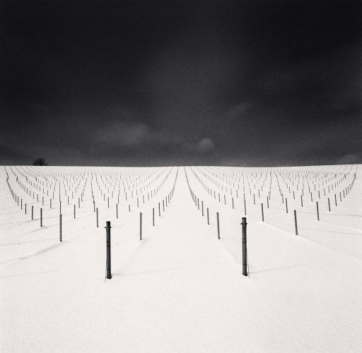 Michael Kenna, Field of Sticks, Kamikawa, Hokkaido, Japan., 2023