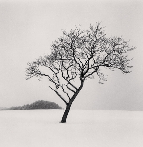 Michael Kenna, Blackstone Hill Tree, Hokkaido, Japan, 2010
