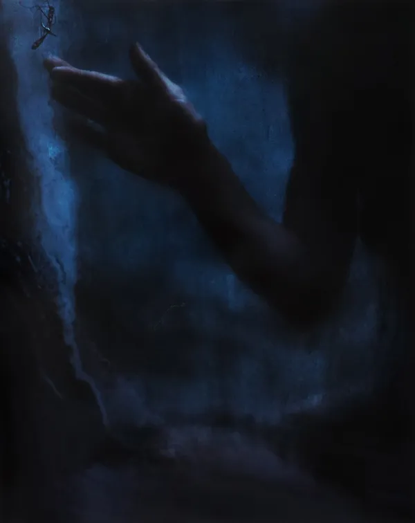 Cig Harvey, Emily at Dusk, 2026