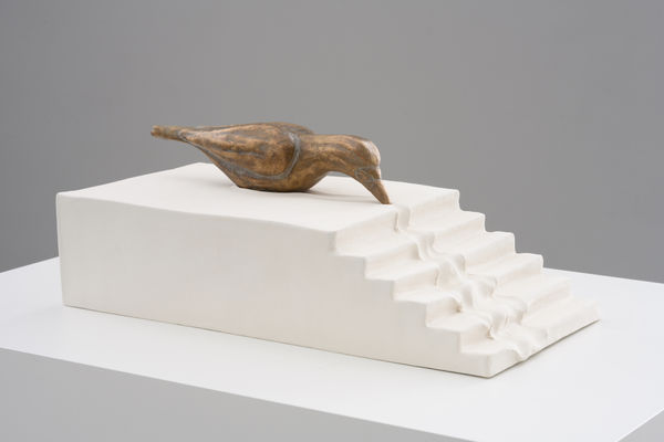 Grace Schwindt, Gravity, 2019