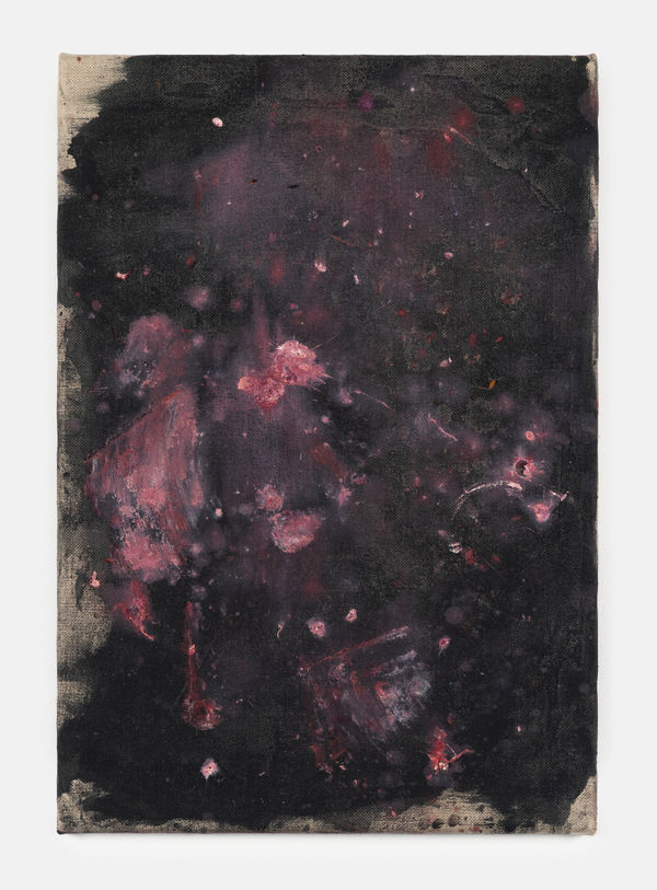 Tobias Spichtig Untitled, 2025 Oil on linen 65 x 45 cm (25 ⅝ x 17 &frac34; in.)