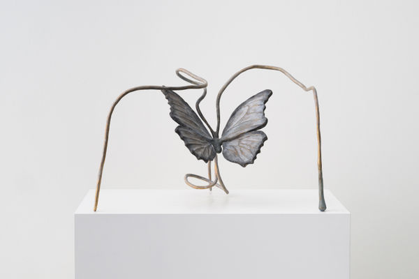 Grace Schwindt, Butterfly, 2022