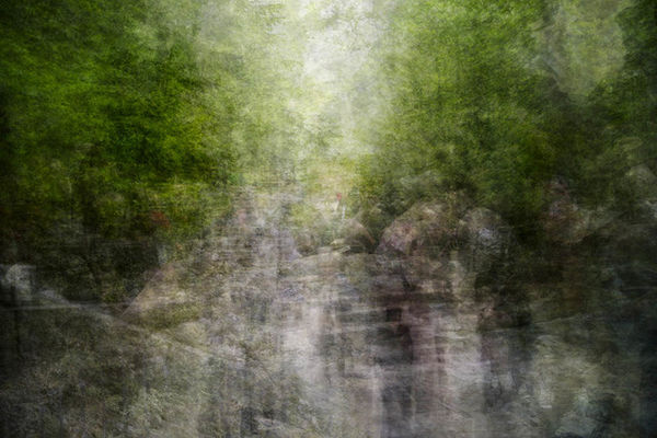 Bill Anderson, River Walk, 2013