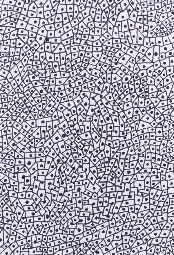Alvin Booth Them 1, 2020, c. Ink on paper 10 x 8 in. 25.4 x 20.3 cm