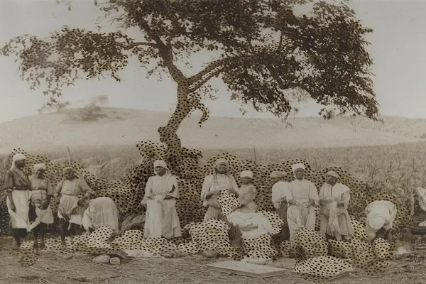 La Vaughn Belle Swarm (001_2023), 2023 Cuts and burns on printed photograph 30 1/2 x 42 1/2 in 77.5 x 108 cm 1 of 1