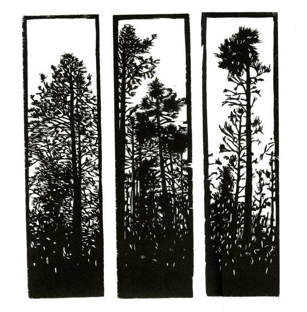 Ripley Whiteside, Pines, 2017